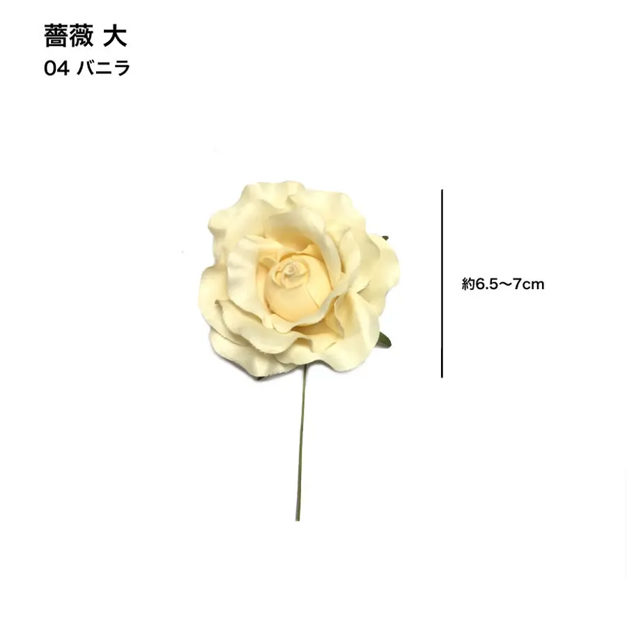 5c6e49623b63655ef26e850e