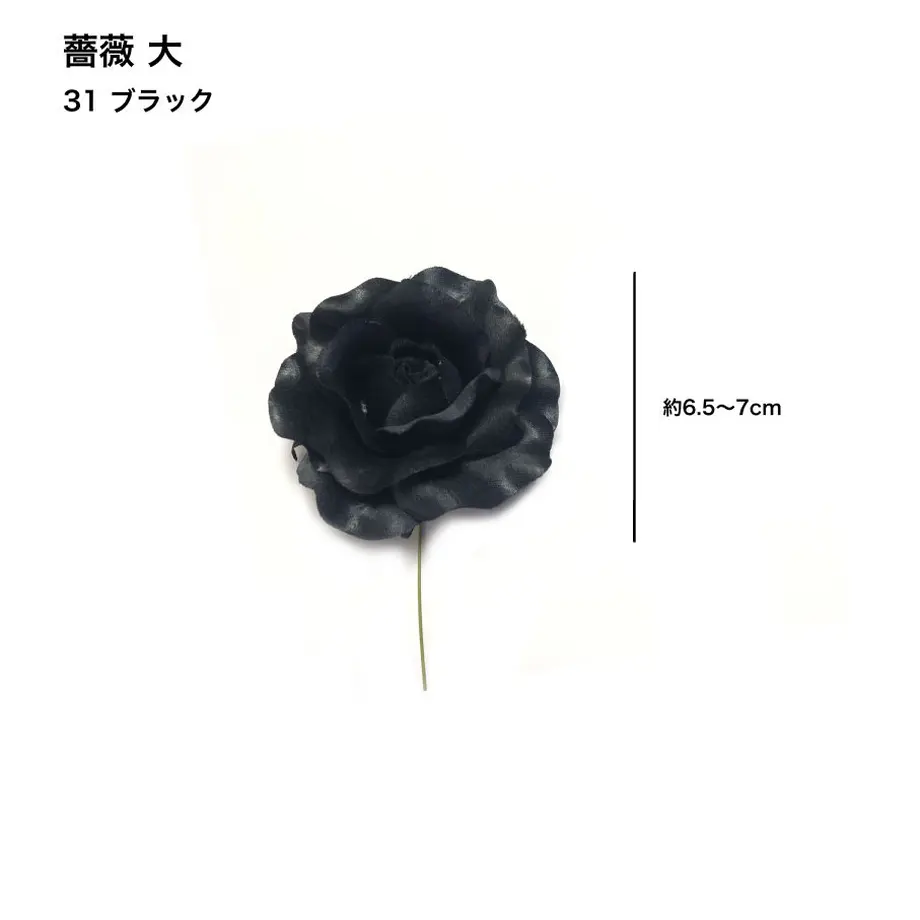 5c6e49623b63655ef26e850e