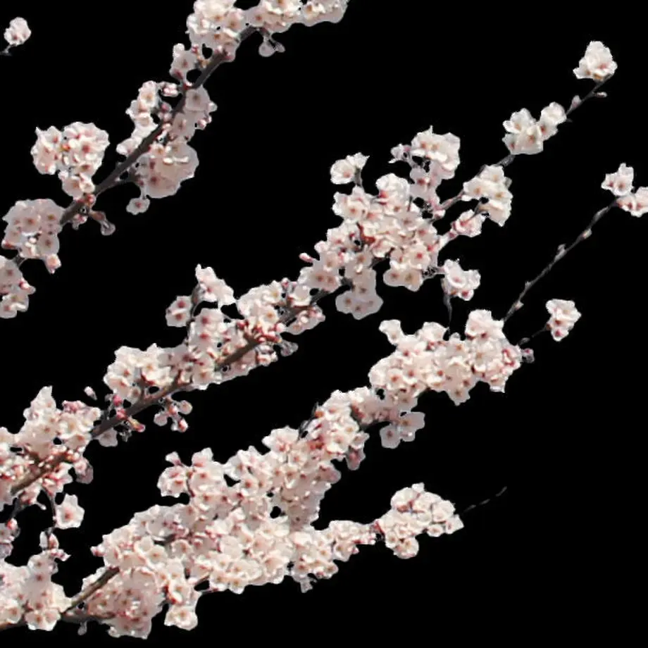 5b7050375496ff74b00043f2