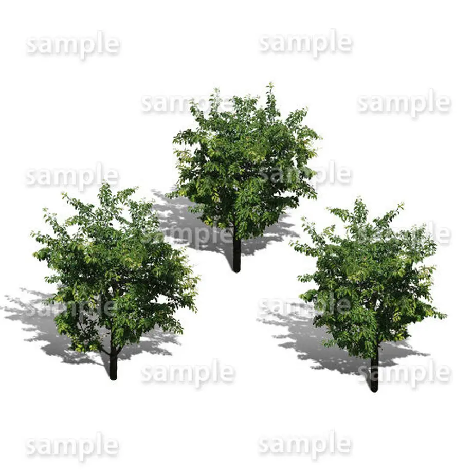 5baa242f5f7866353a000826