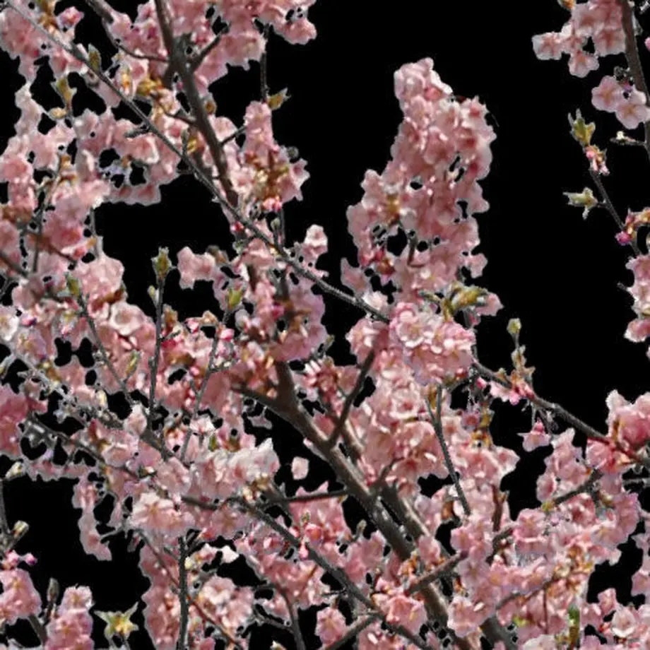 5b7058895496ff3953000445