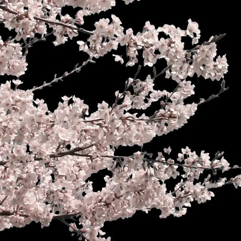5b704964ef843f0adc001010