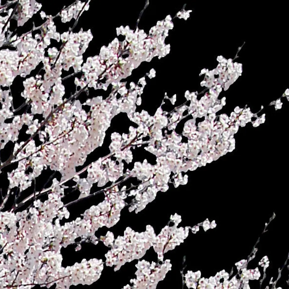5b704c325496ff055f00511c