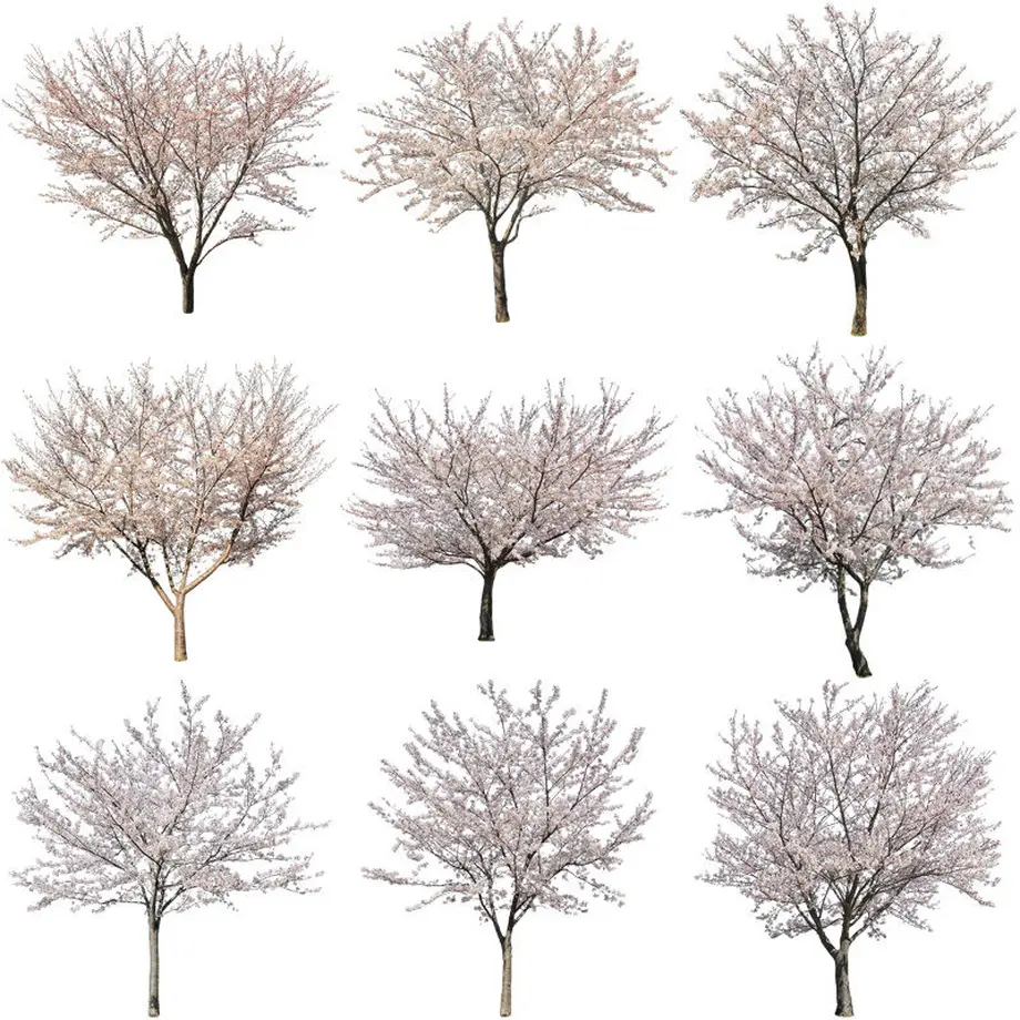 5b704c325496ff055f00511c