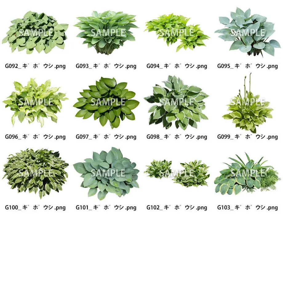 5c7fcf90a9ac4c334b36ab17
