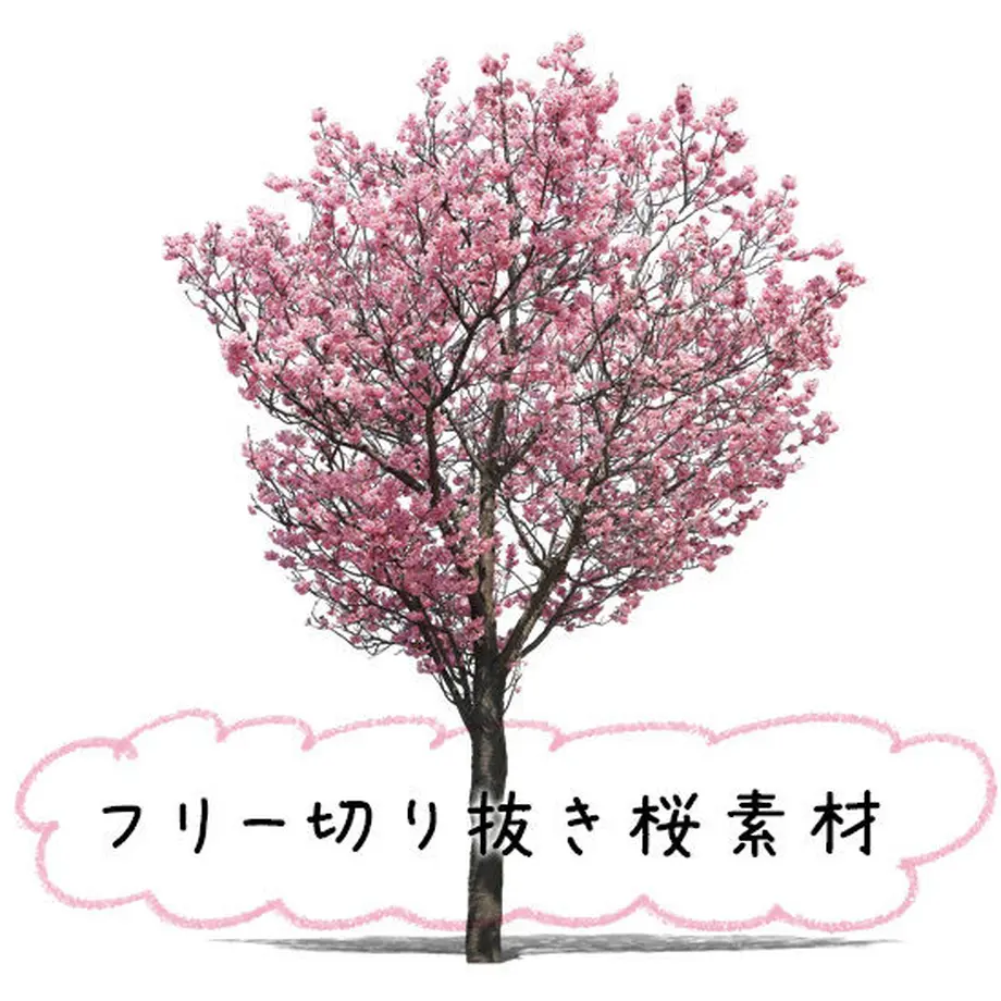 5bbff5855f78660f42000453