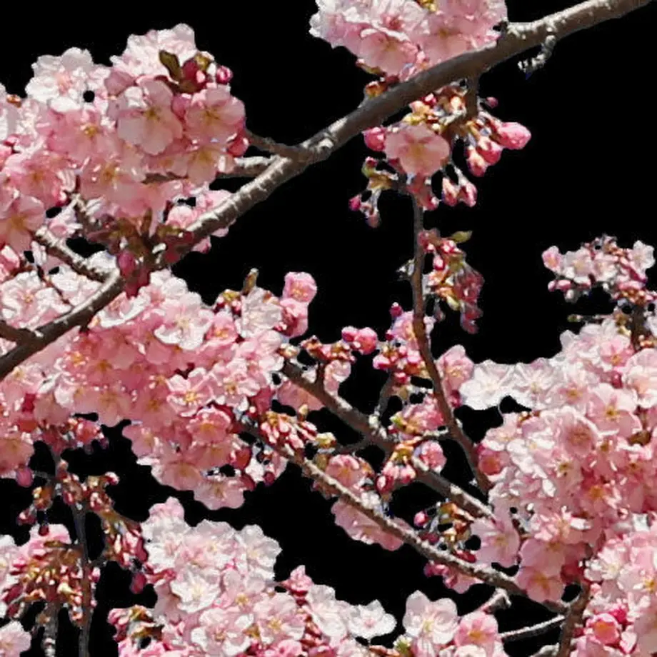 5b7057735496ff14d7002db2