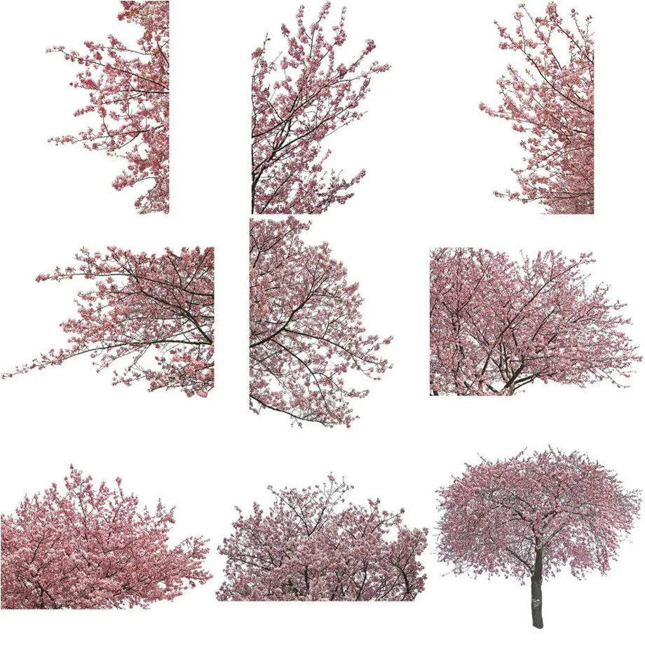 5b7057735496ff14d7002db2