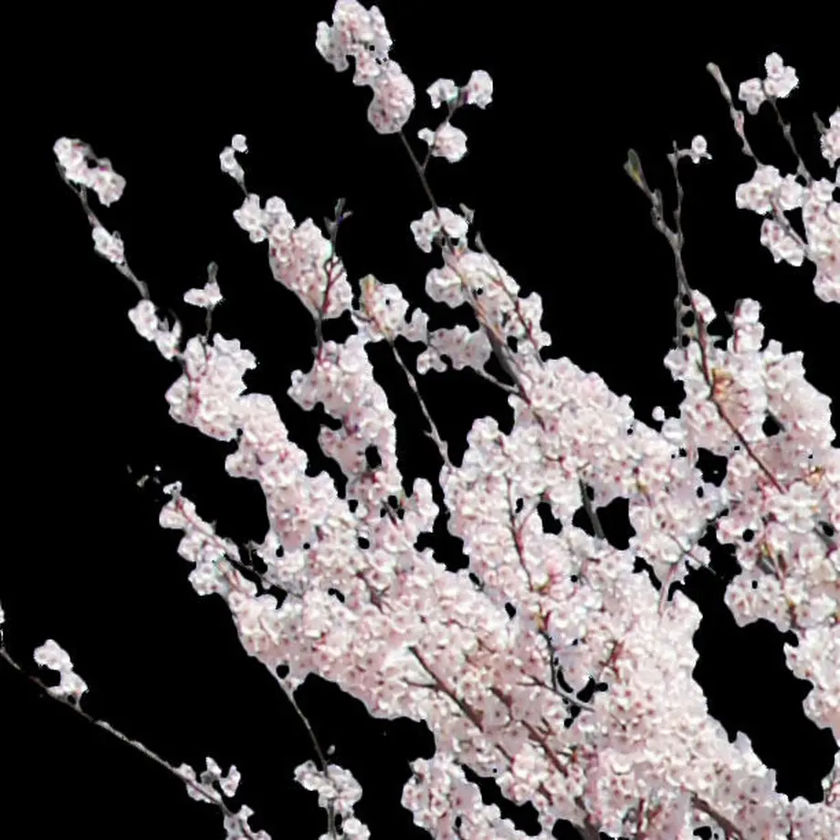 5b704c325496ff055f00511c