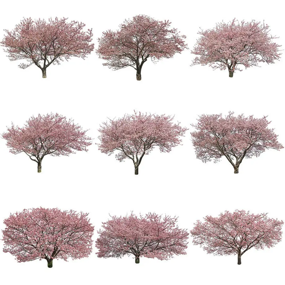 5b70583e5f786631b5007986