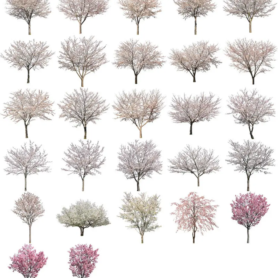 5b705c875496ff2f71000848