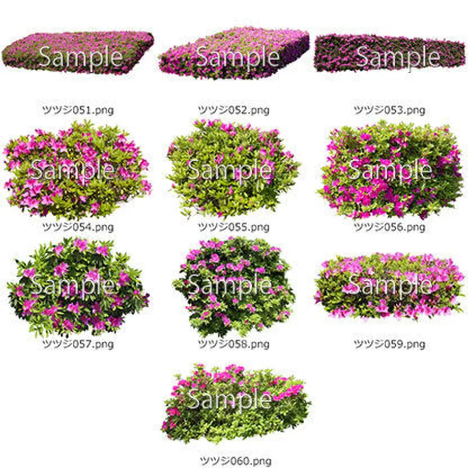 5b6fc34cef843f1815001fd3