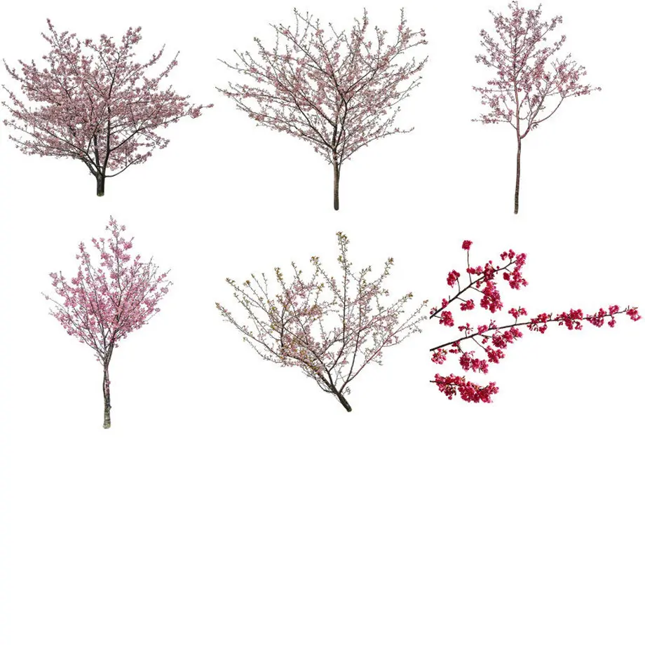 5b7058b9a6e6ee16600002f8