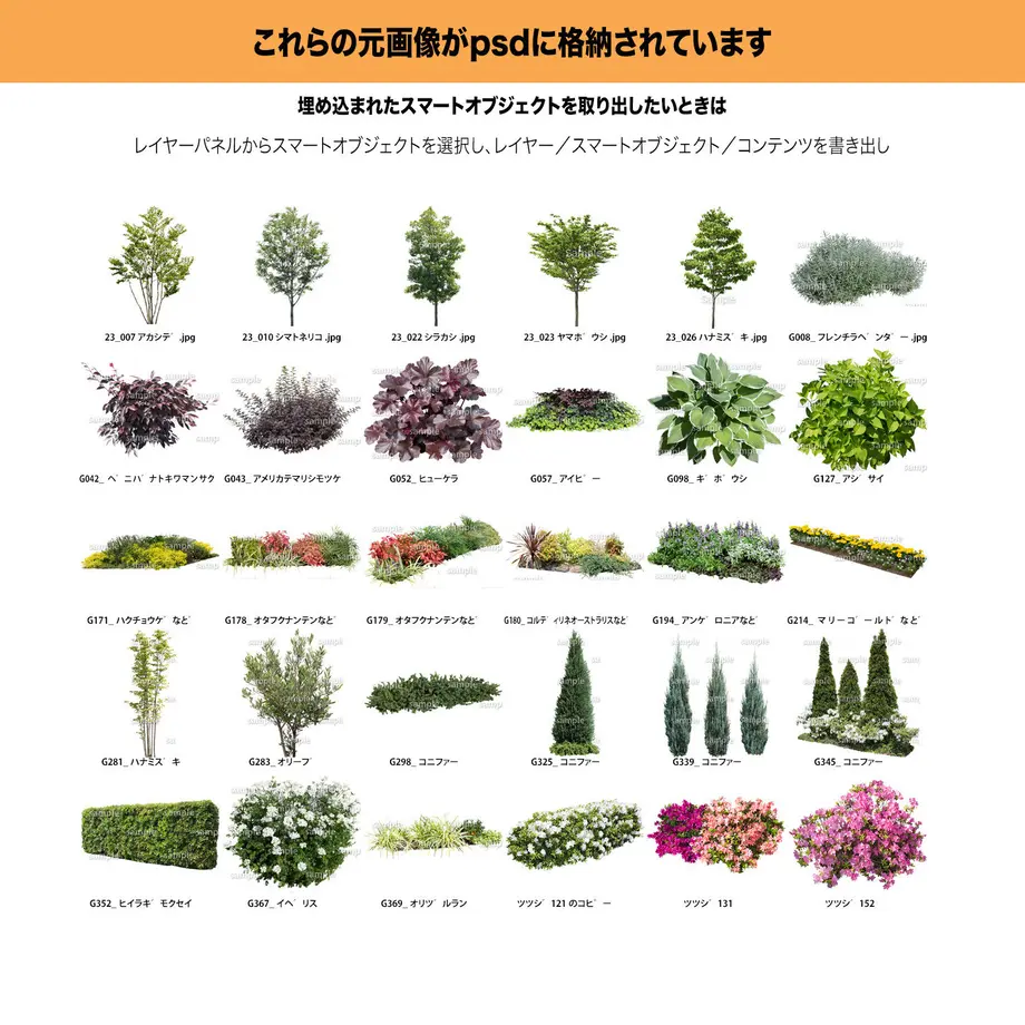 5c8096ac808dfa302b6d799f