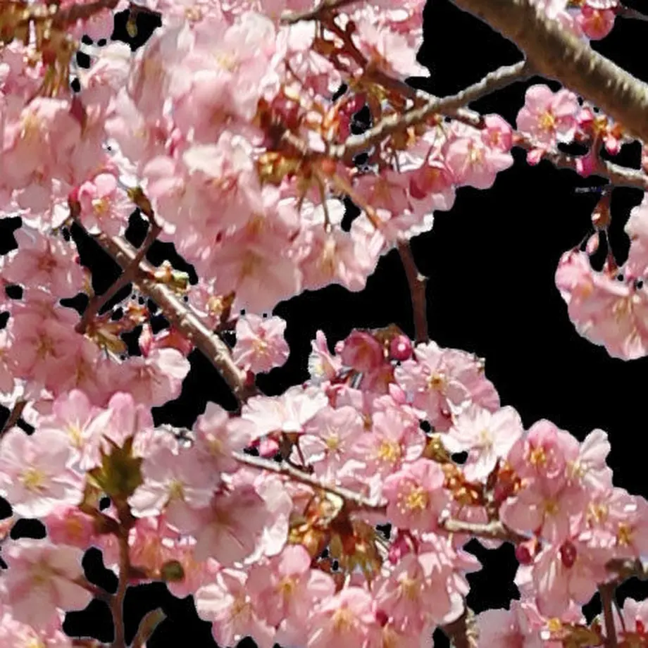 5b7057735496ff14d7002db2