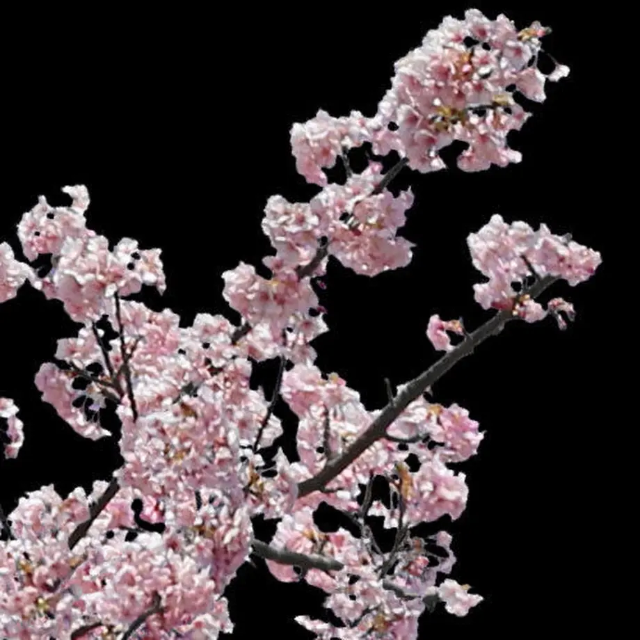 5b7058895496ff3953000445