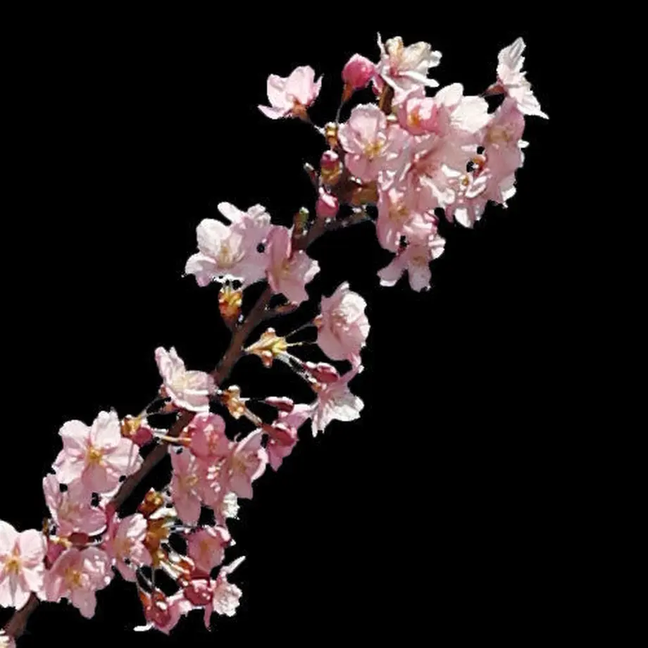5b7056eb5496ff14d7002d85