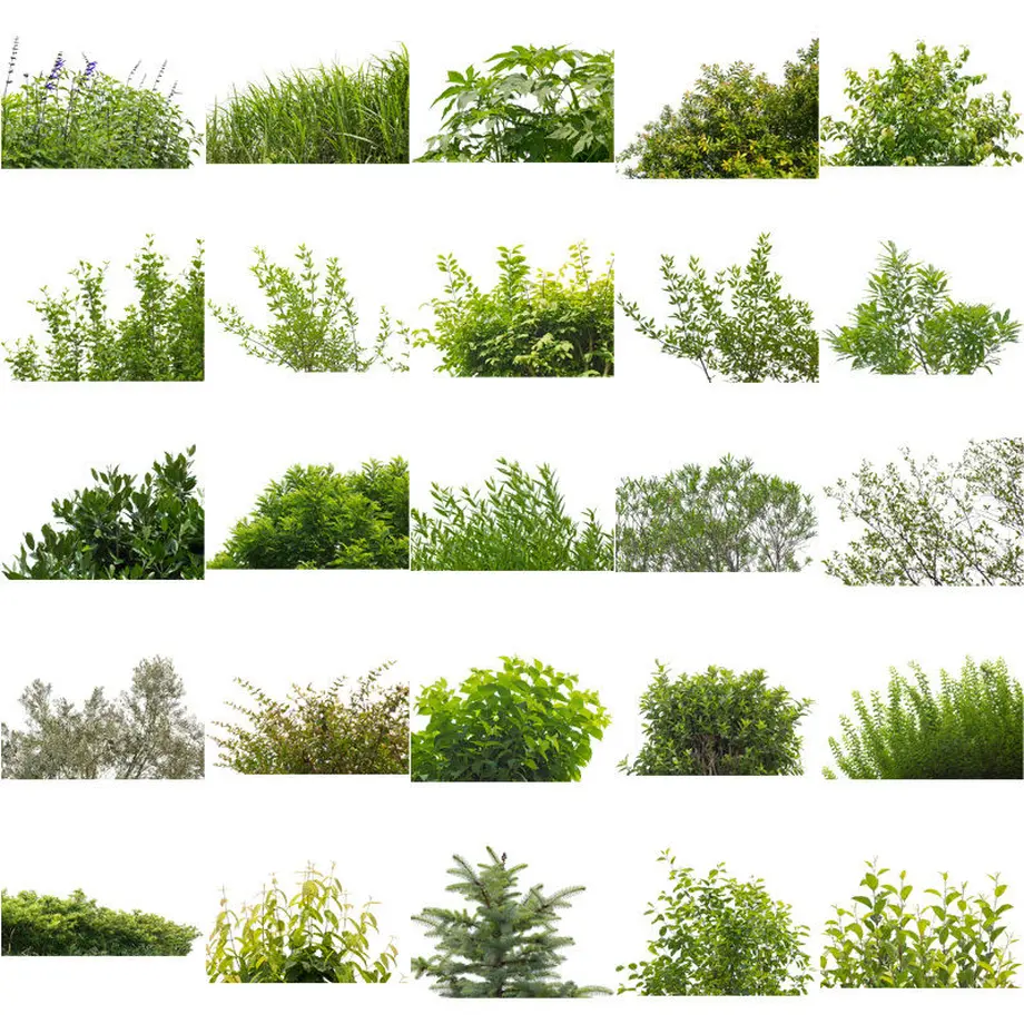 5b8235d3ef843f215d00473f
