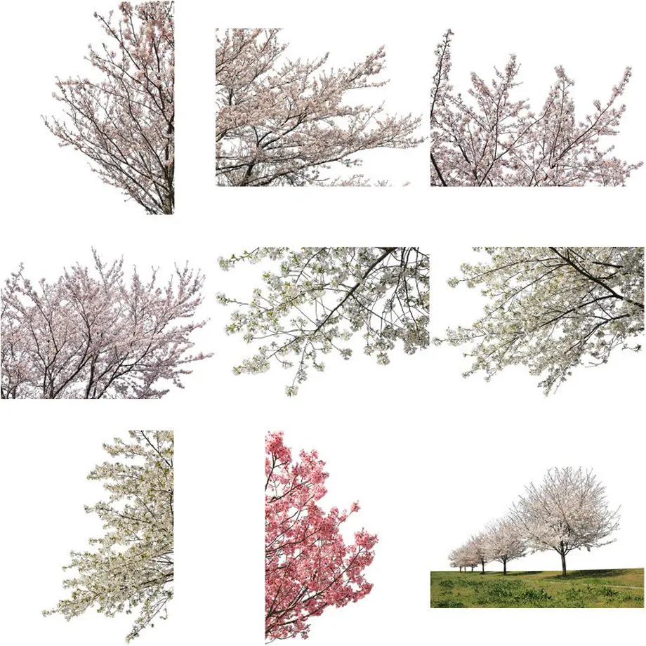 5b70559c5f786631b50078d6