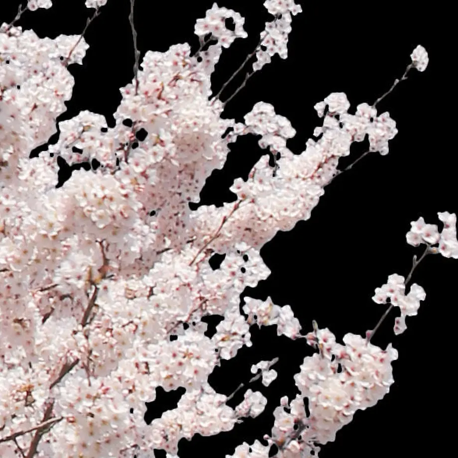 5b7050375496ff74b00043f2