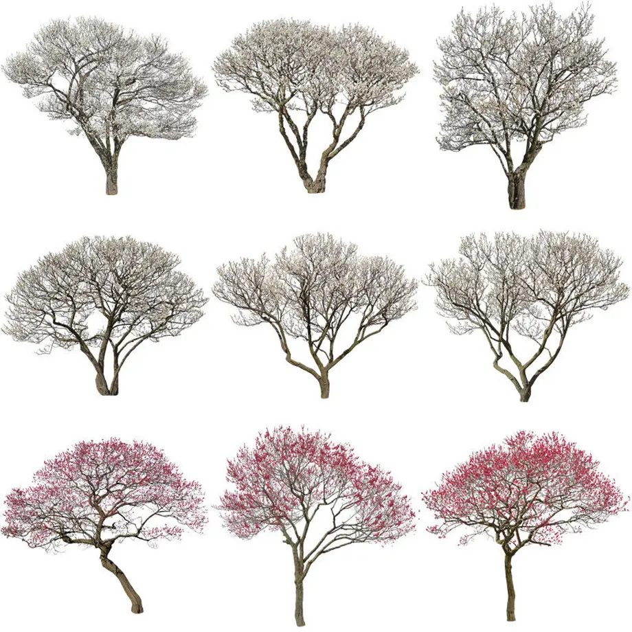 5b70363a5f786631b5006ec0