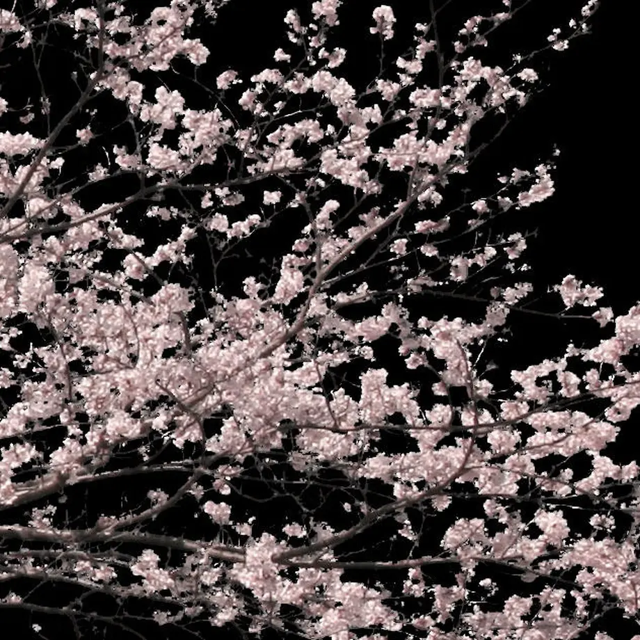 5b7048225496ff2f710002f6