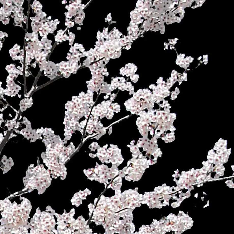 5b704c325496ff055f00511c