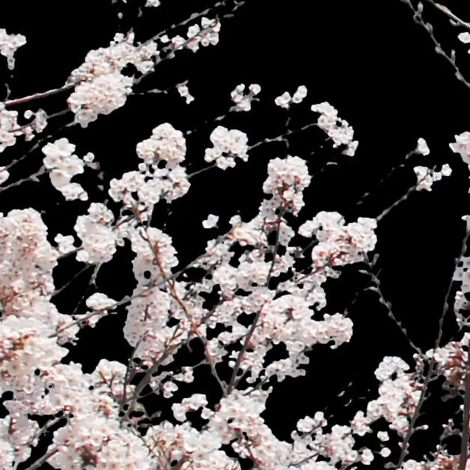 5b7050375496ff74b00043f2