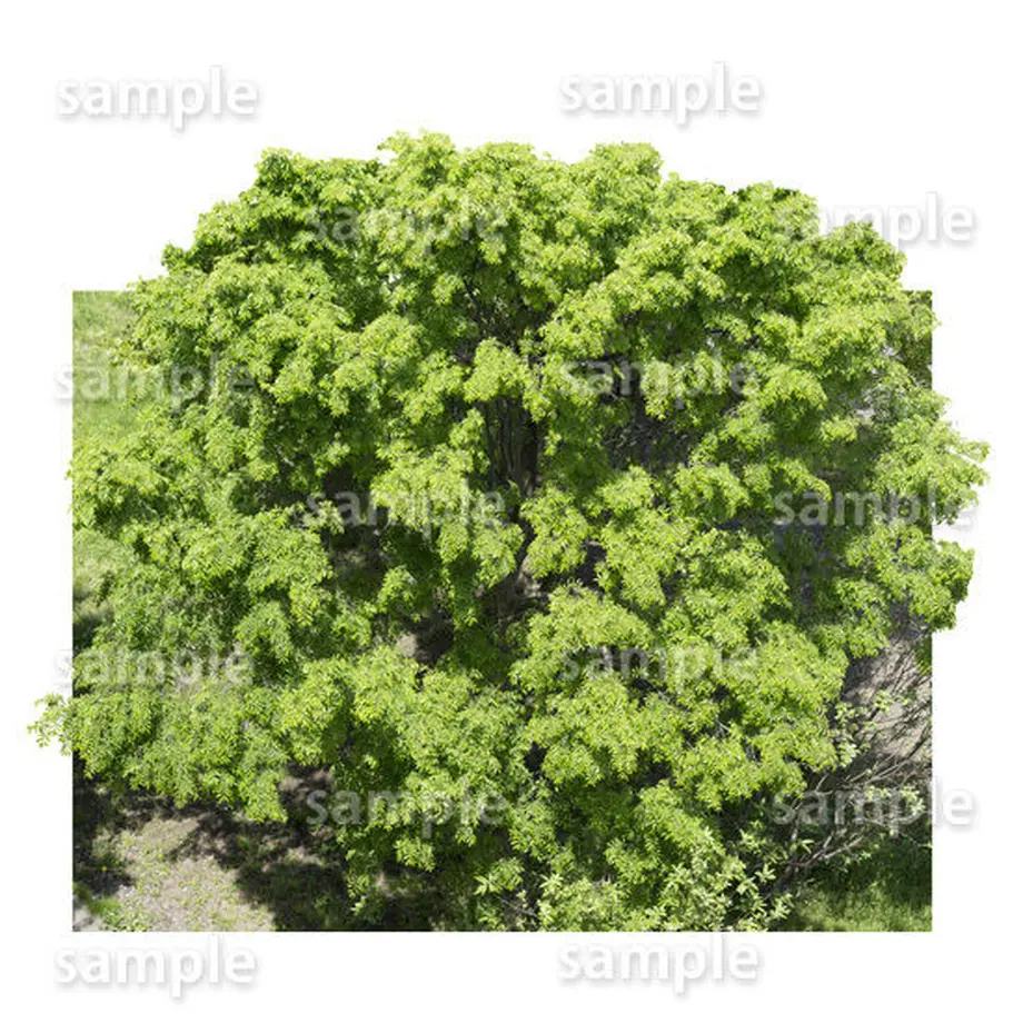 5baa0b965496ff648e0006cf