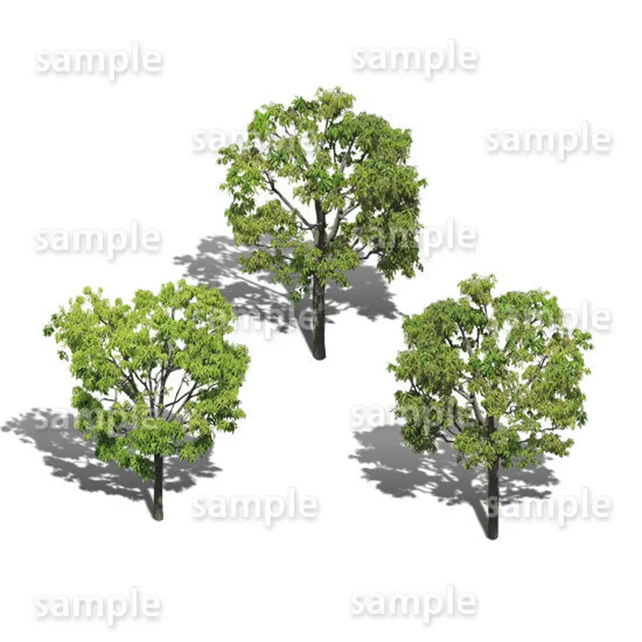 5baa222b5496ff40ad0011dd