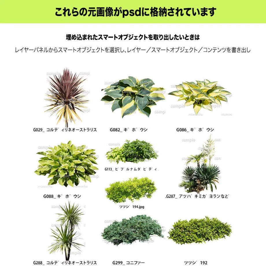 5c7fbdb76a41ea6f8b95a70c
