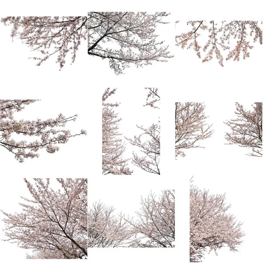 5b7050375496ff74b00043f2