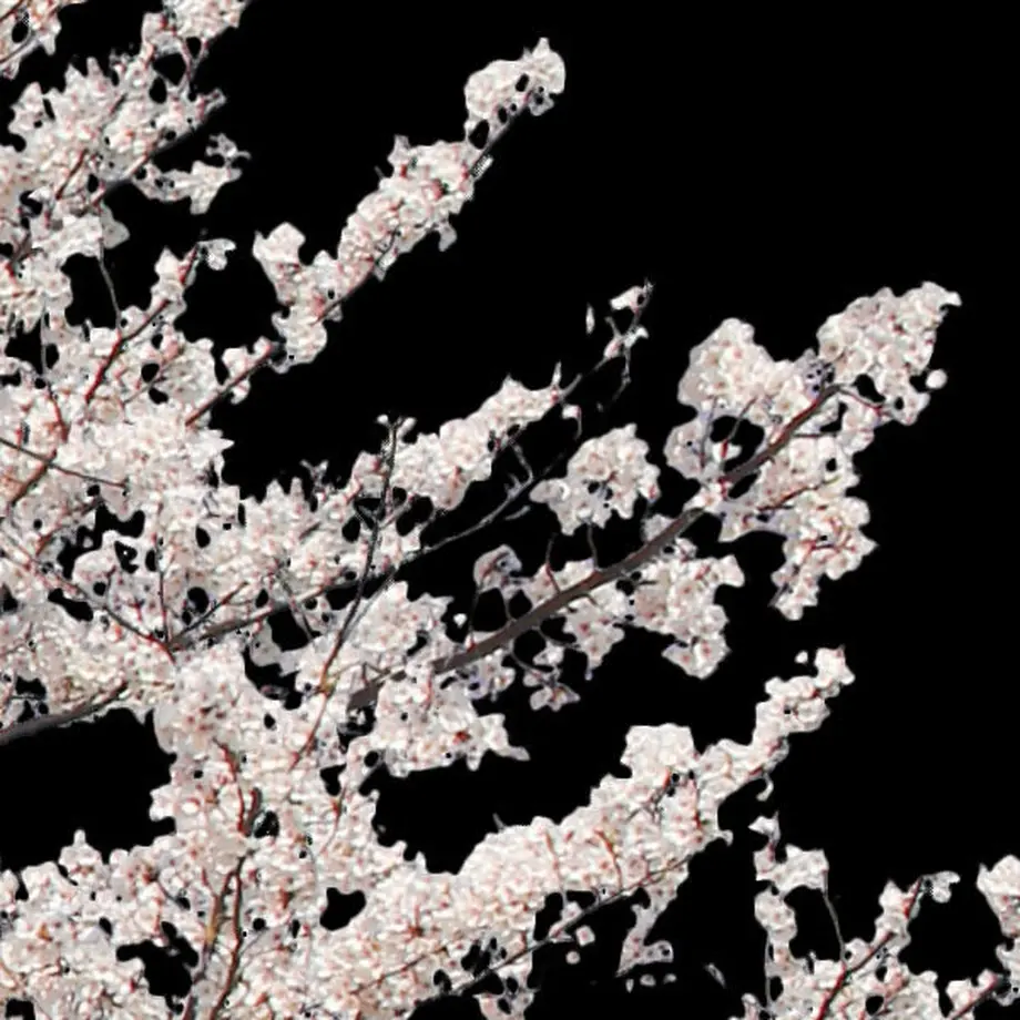 5b704c325496ff055f00511c