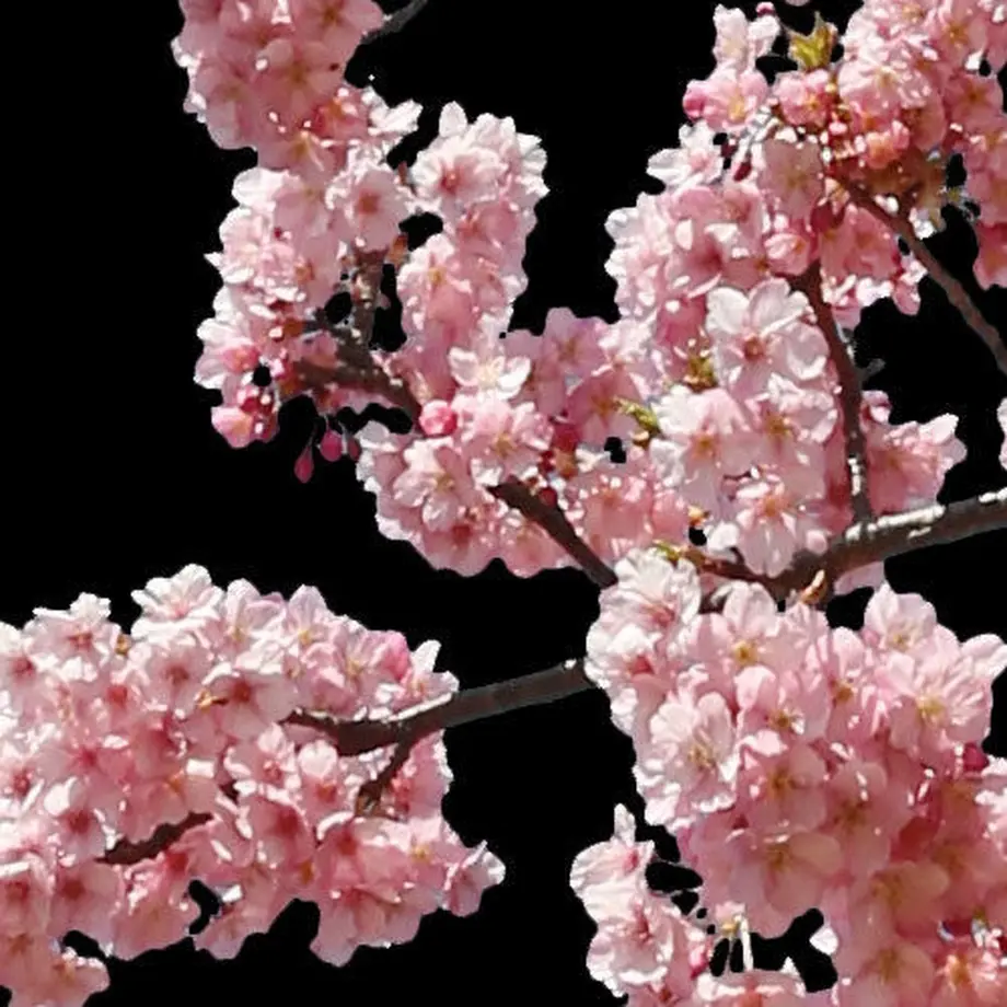 5b7057735496ff14d7002db2