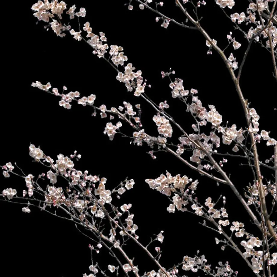 5b704964ef843f0adc001010