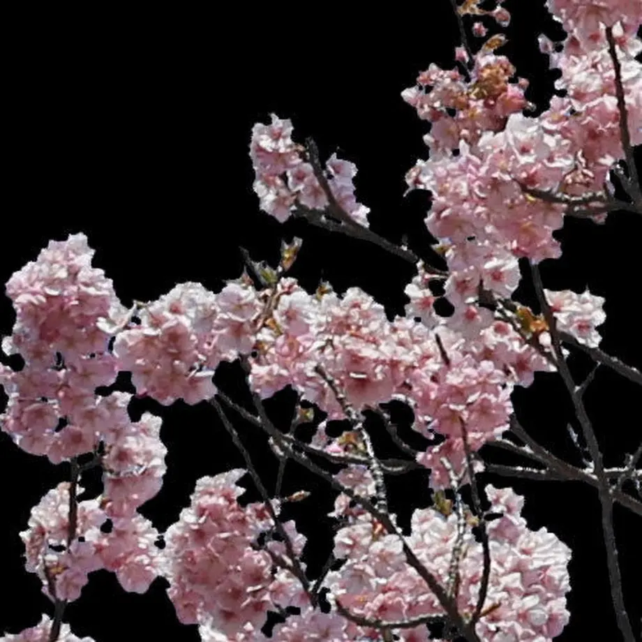 5b7057735496ff14d7002db2
