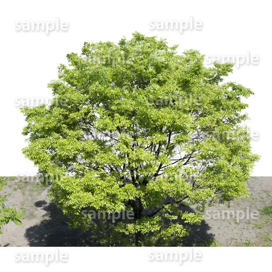 5baa0bf55496ff16560023c5