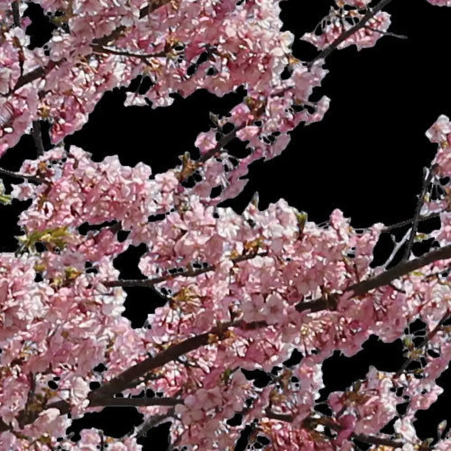 5b7058895496ff3953000445