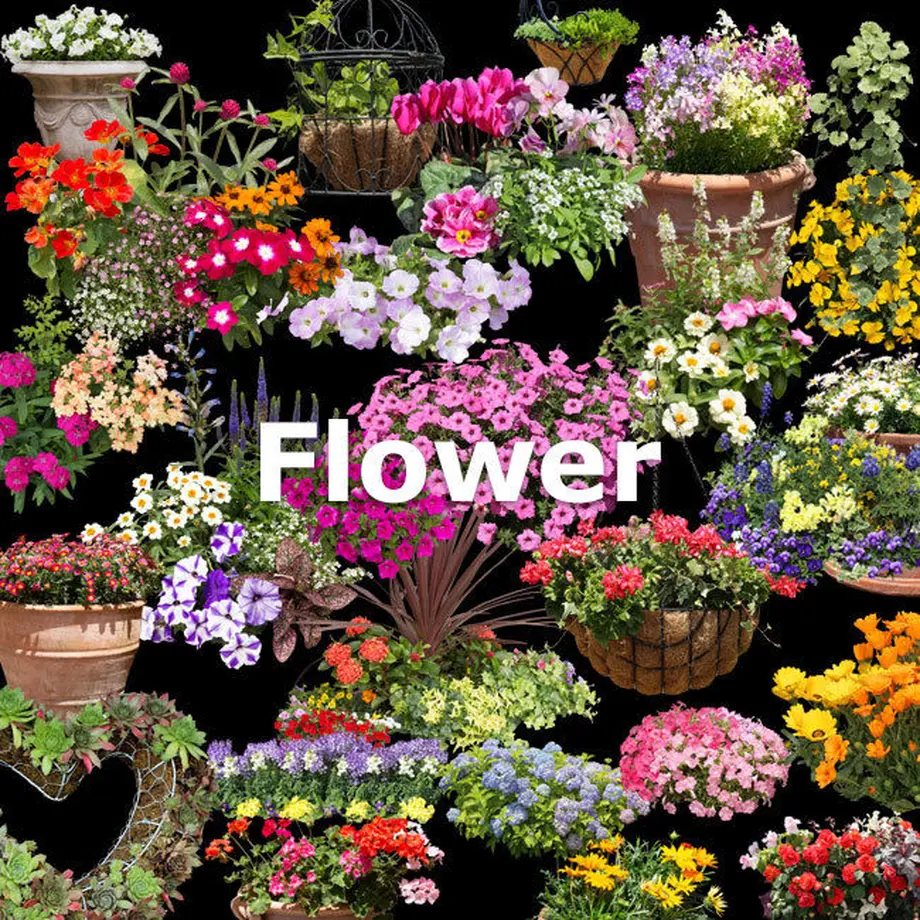 5c7fd2782ef8287447b370f9