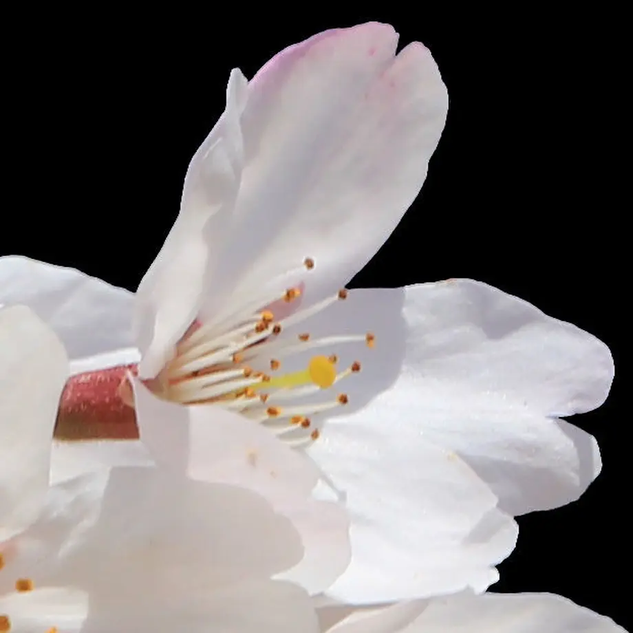 5b704a63ef843f3bb7001a3a