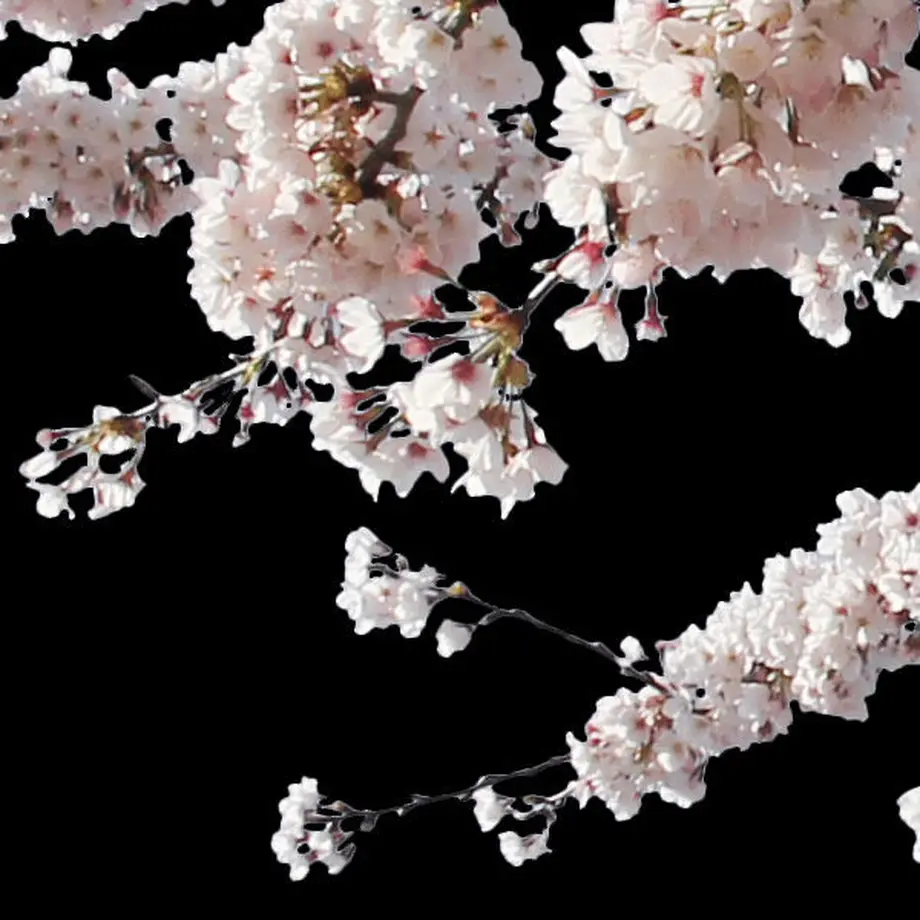 5b7050375496ff74b00043f2