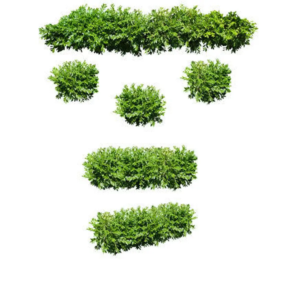 5b6f6c635f786631b5001ded
