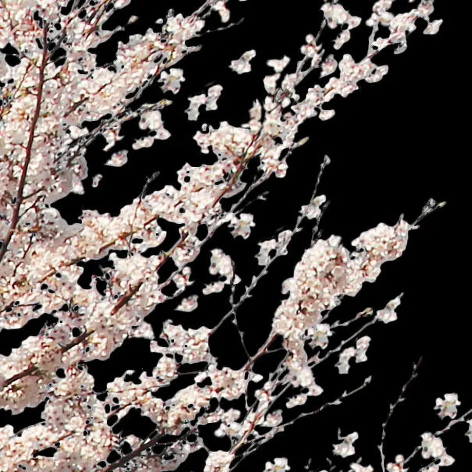 5b704c325496ff055f00511c