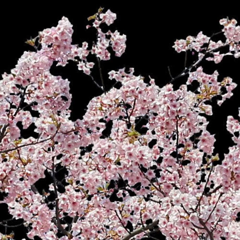 5b7058895496ff3953000445