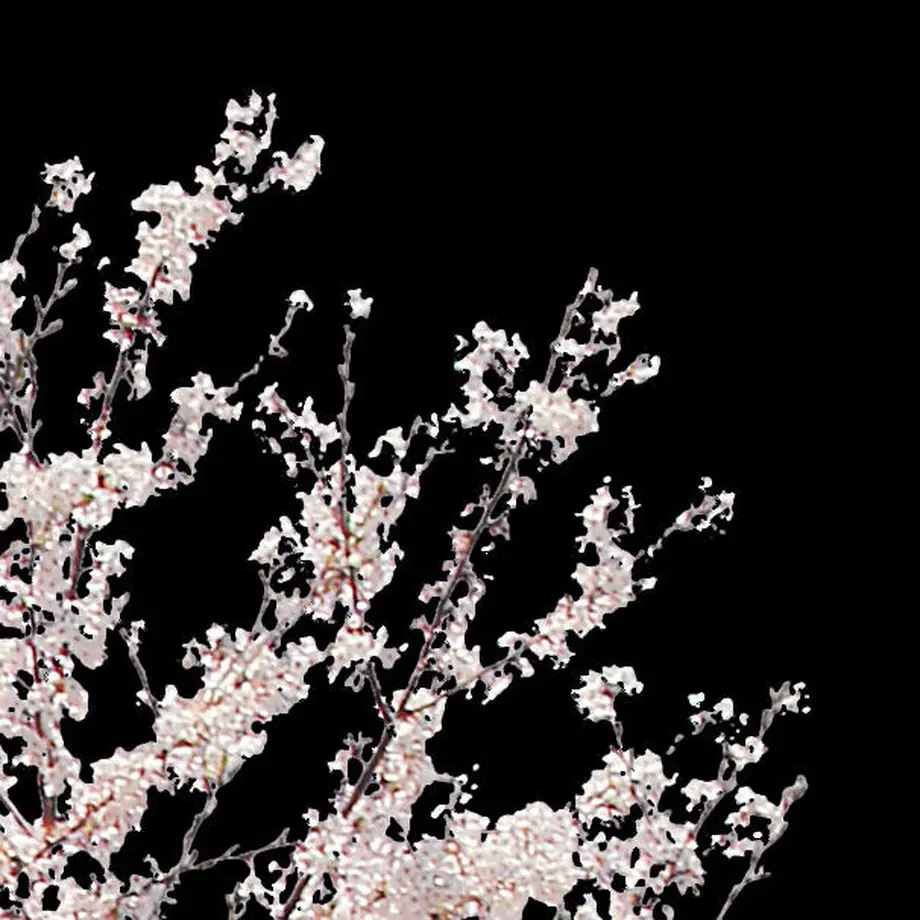 5b704b975496ff3953000097