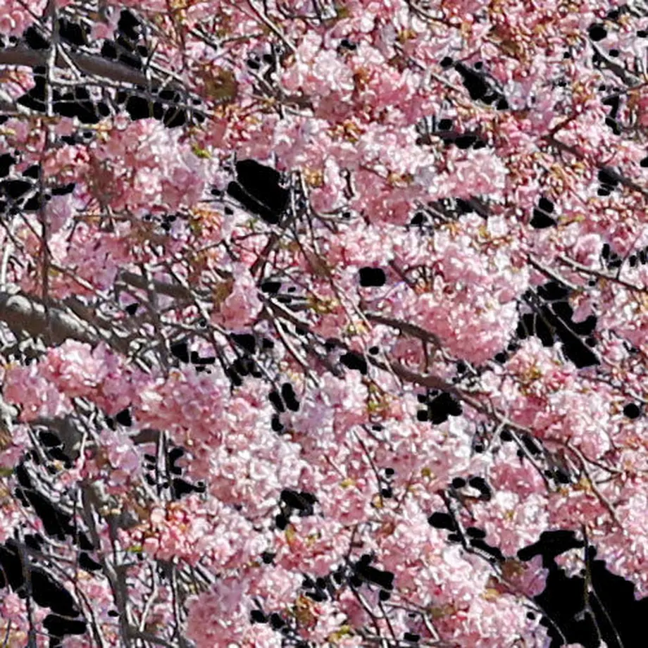 5b7057735496ff14d7002db2