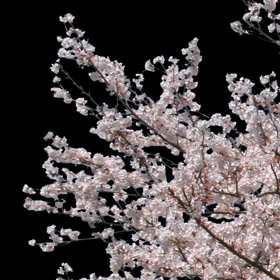 5b7048225496ff2f710002f6