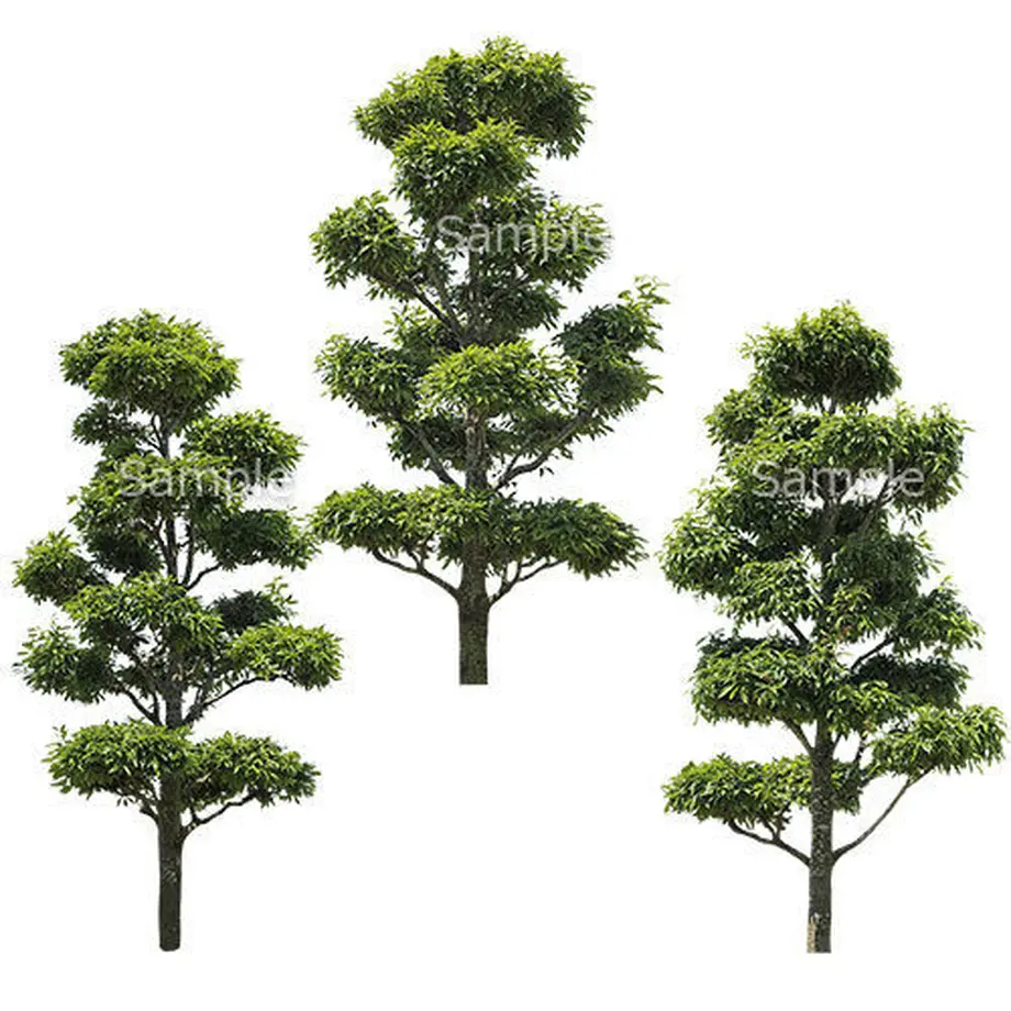 5b70bf045f78666896000451