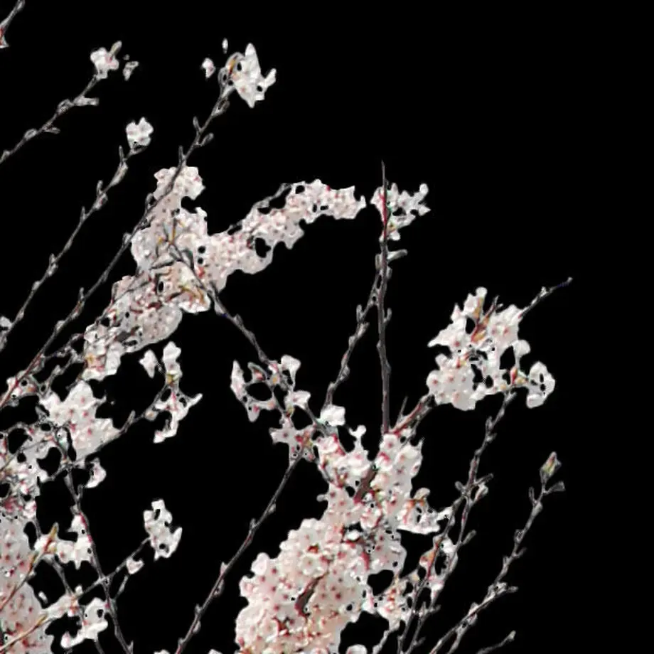 5b704b975496ff3953000097