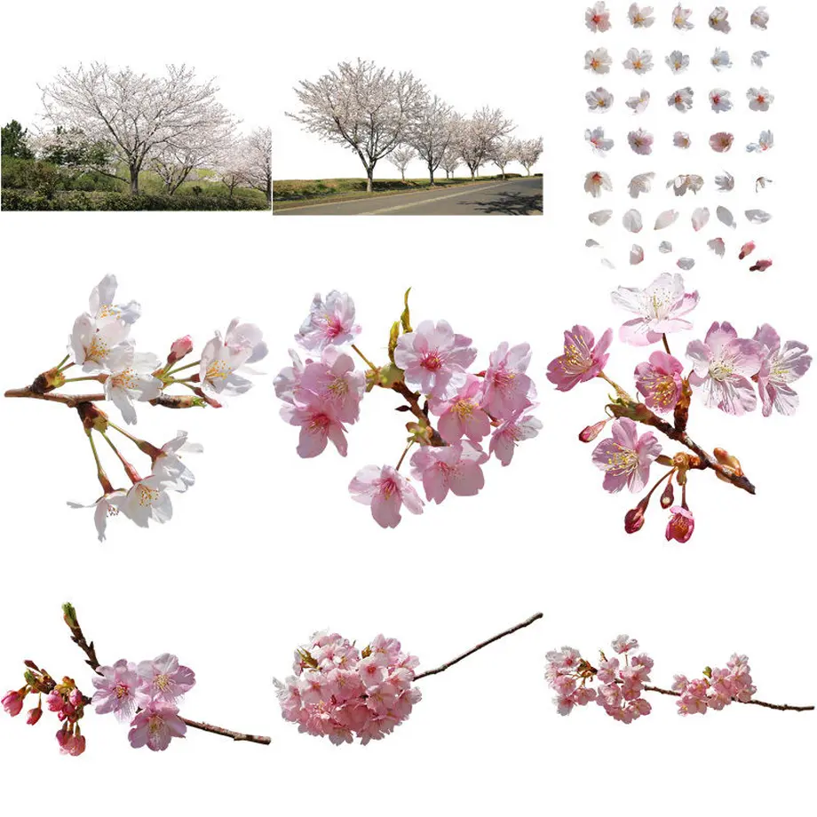 5b705632ef843f3bb7001d94